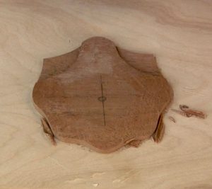 In order to carve the details, establish a topography by excavating the scallop shell.